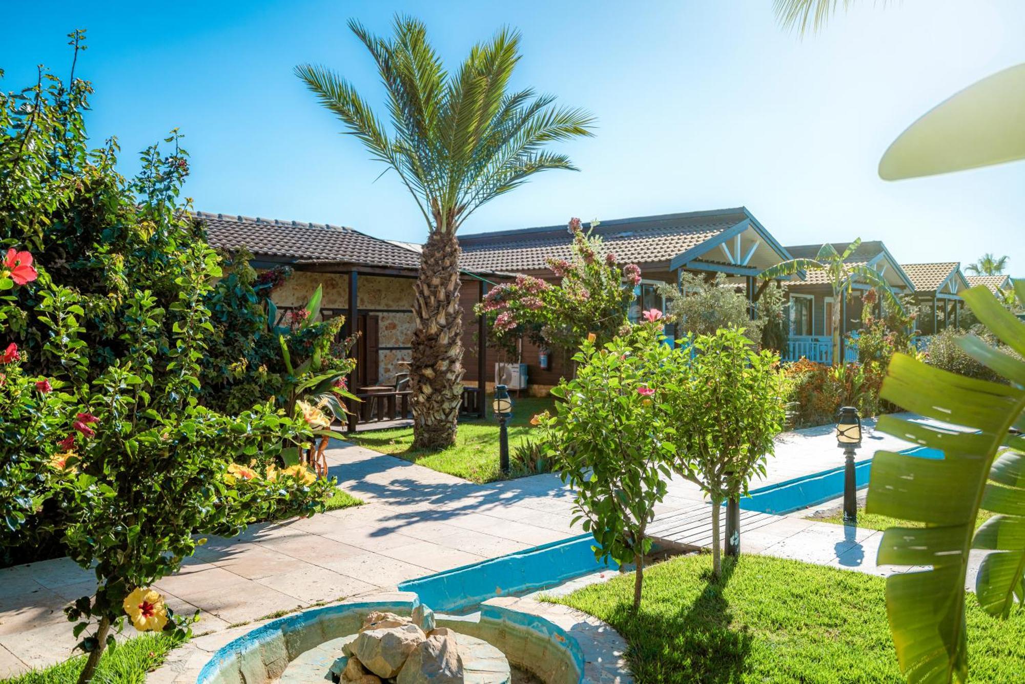 Sedir Park - Beach Bungalow Kargicak  Exterior foto