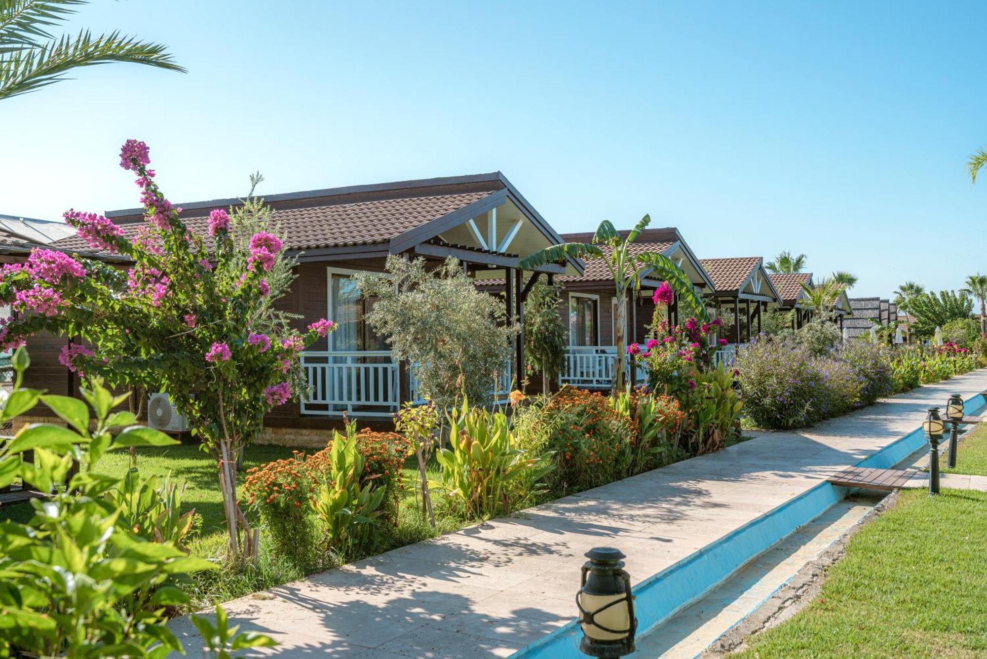 Sedir Park - Beach Bungalow Kargicak  Exterior foto