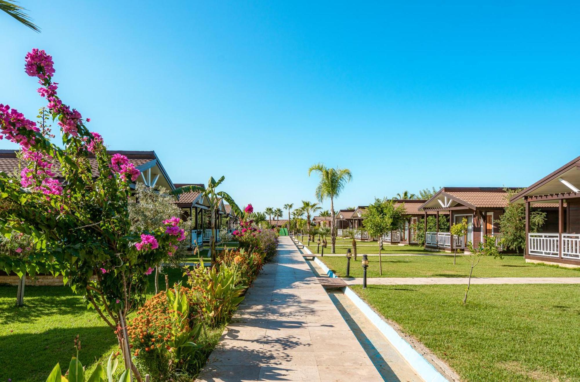 Sedir Park - Beach Bungalow Kargicak  Exterior foto