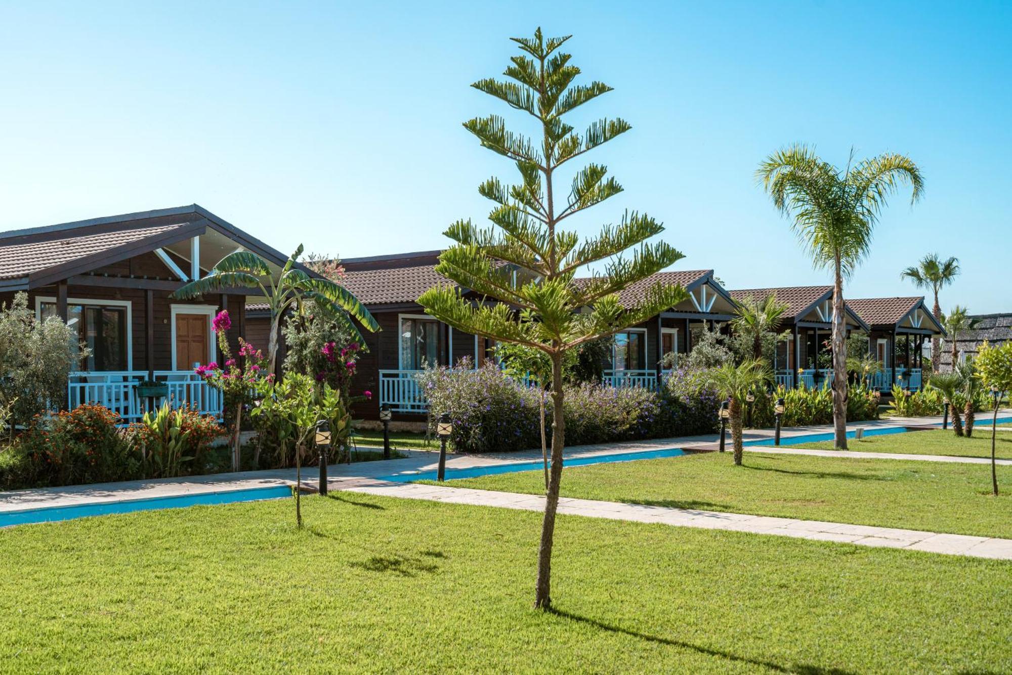 Sedir Park - Beach Bungalow Kargicak  Exterior foto